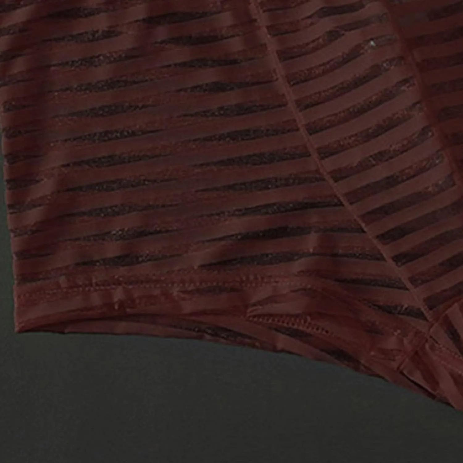 JEsilunmaMY Mens Mesh Sheer Low Rise Underwear See Through Breathable Boxer Briefs Solid Color Sexy Underwear Panties