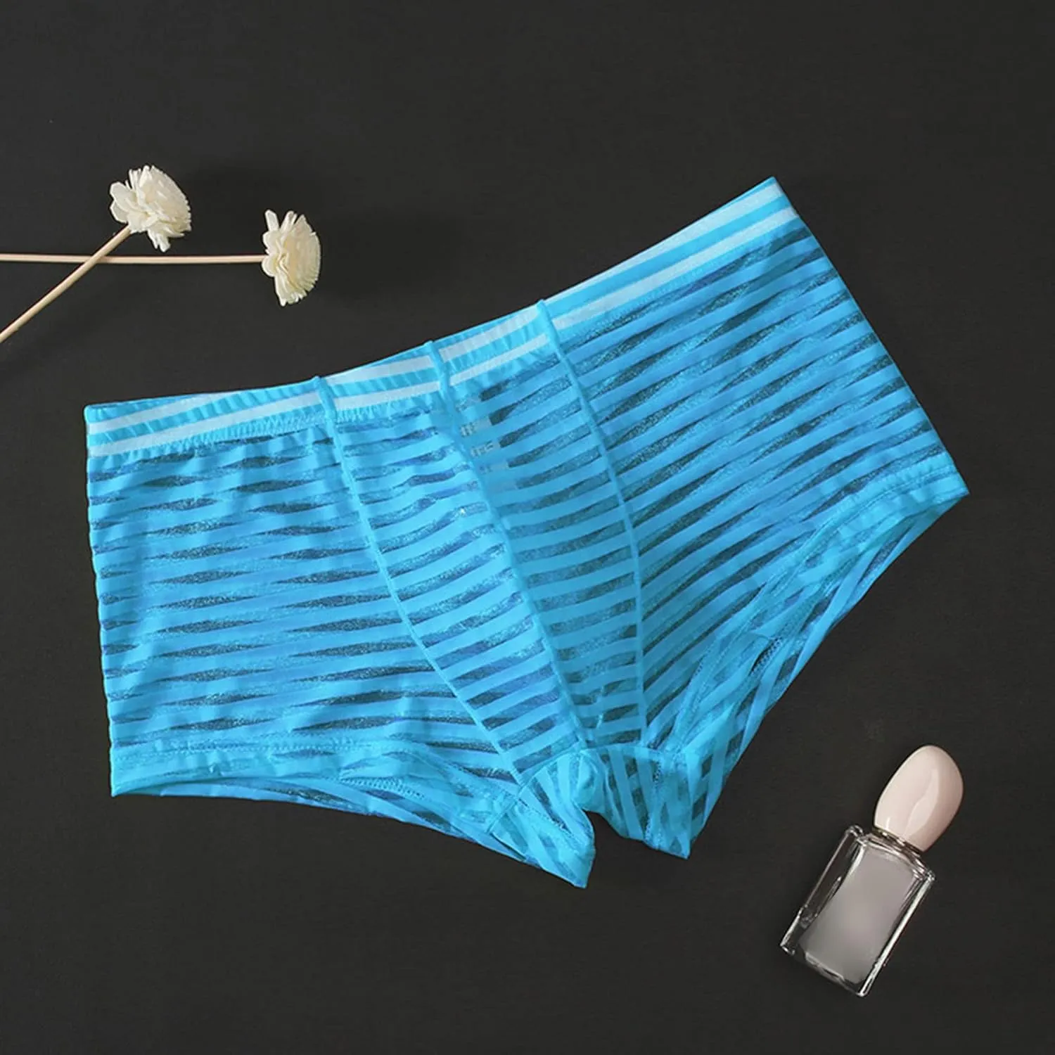 JEsilunmaMY Mens Mesh Sheer Low Rise Underwear See Through Breathable Boxer Briefs Solid Color Sexy Underwear Panties