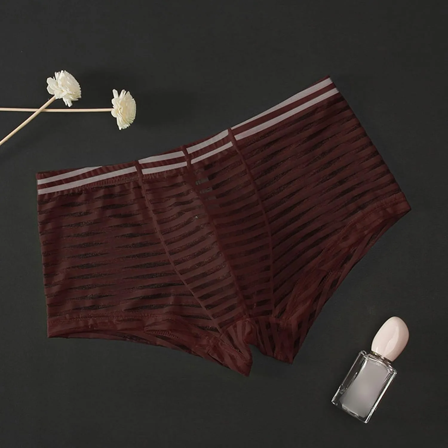 JEsilunmaMY Mens Mesh Sheer Low Rise Underwear See Through Breathable Boxer Briefs Solid Color Sexy Underwear Panties