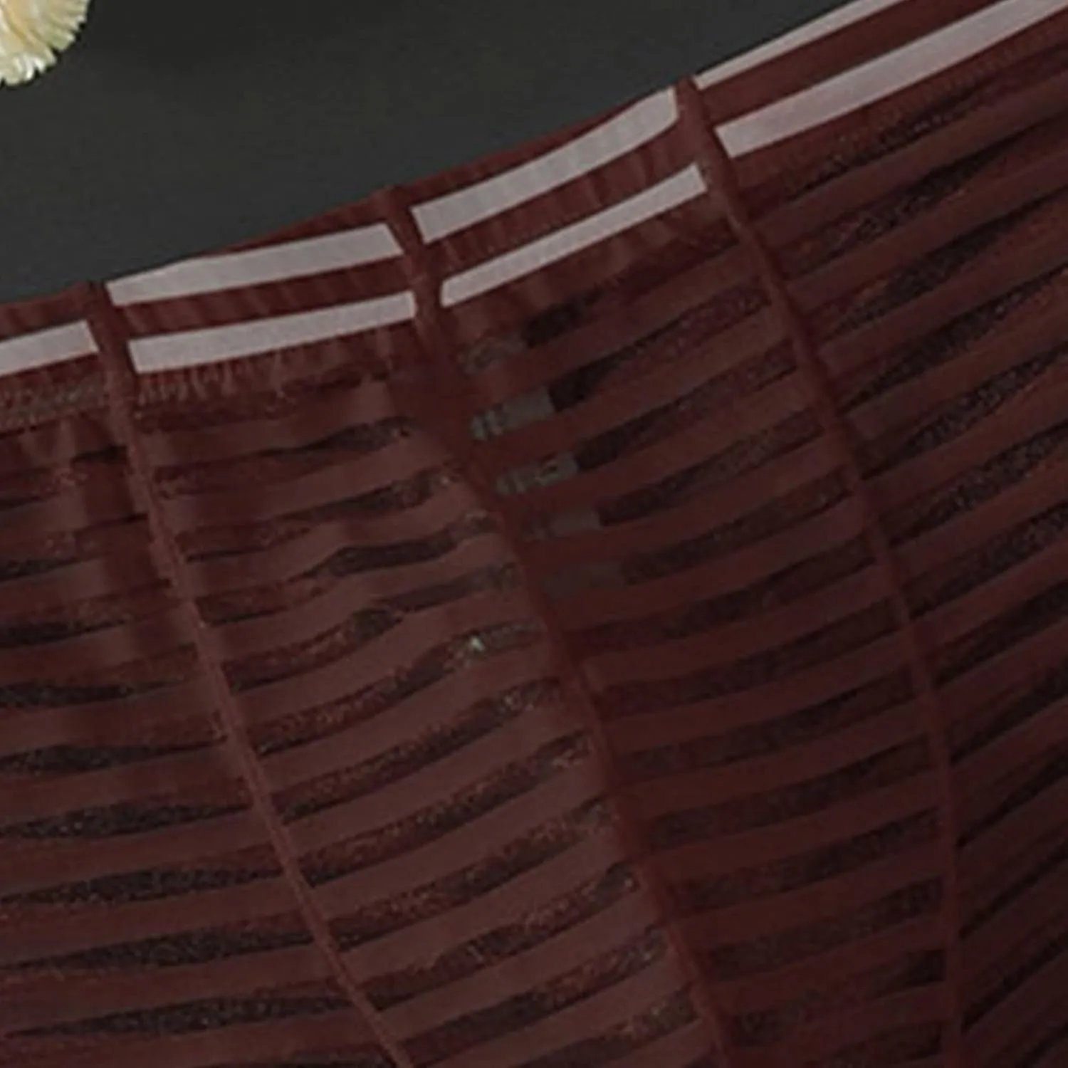 JEsilunmaMY Mens Mesh Sheer Low Rise Underwear See Through Breathable Boxer Briefs Solid Color Sexy Underwear Panties